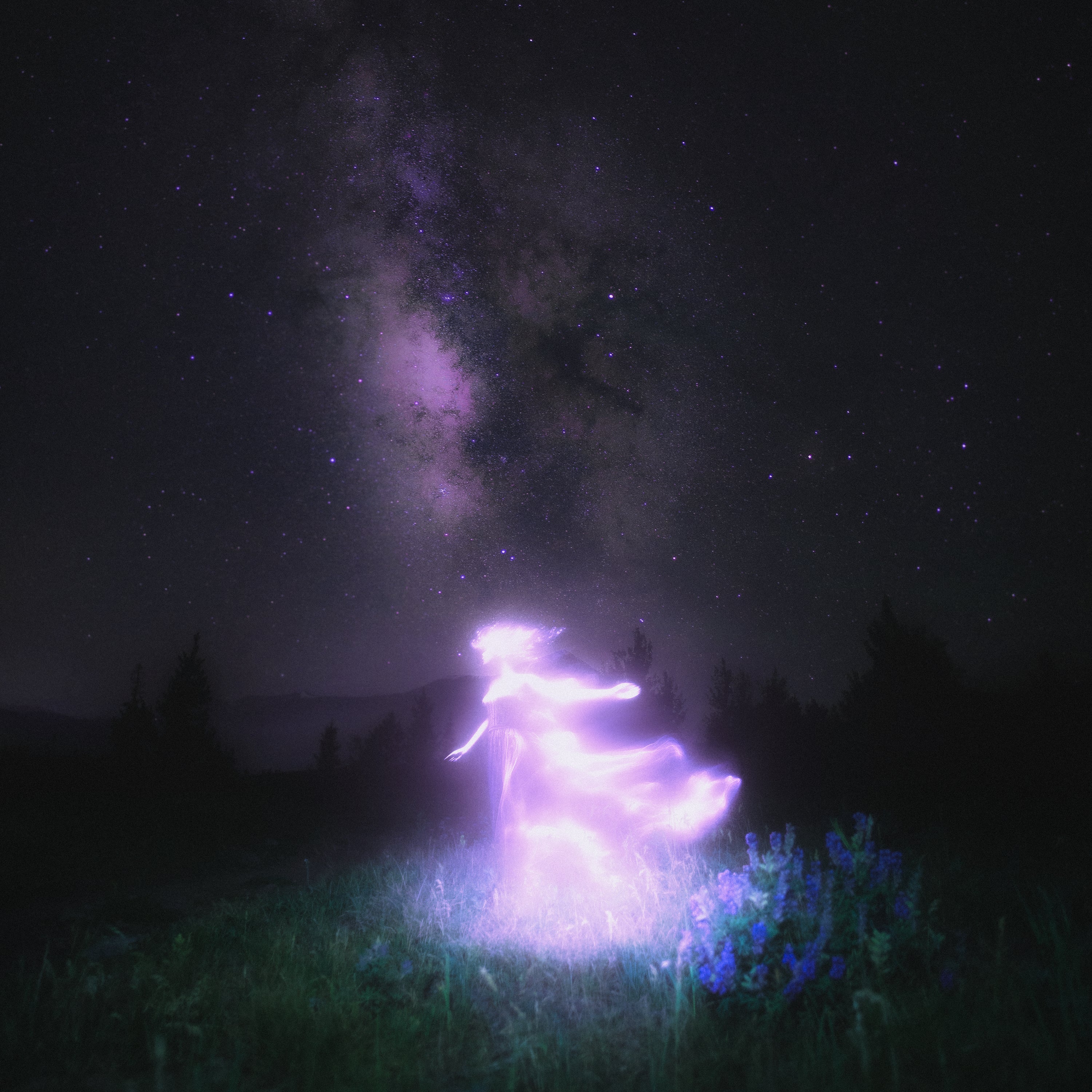 Since 2000 - neverland [CHAPTER II] - CD